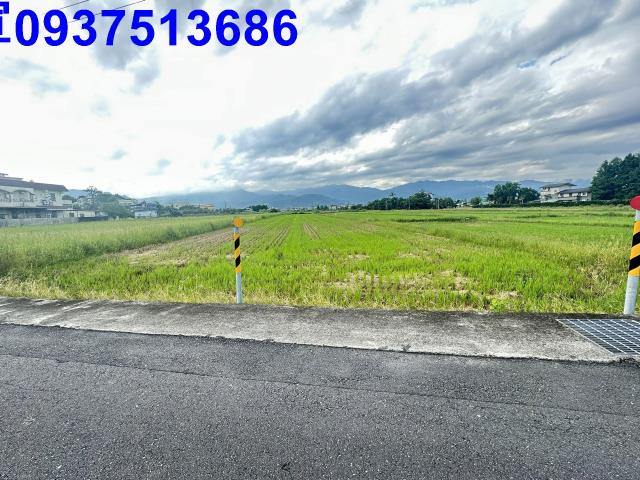 宜蘭宜蘭市農地-2