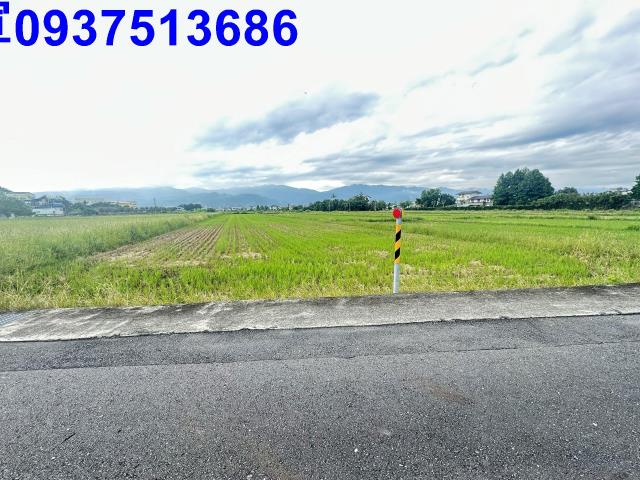 宜蘭宜蘭市農地-1