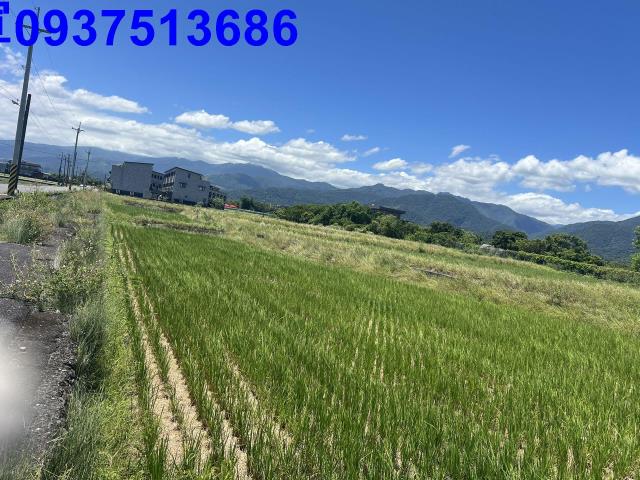 宜蘭三星農地-11