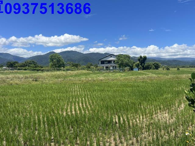 宜蘭三星農地-12