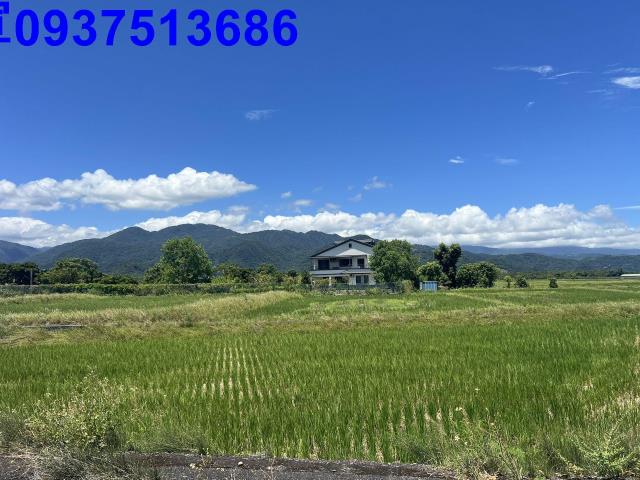 宜蘭三星農地-14