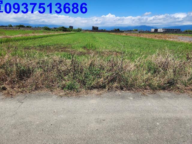 宜蘭壯圍農地-14