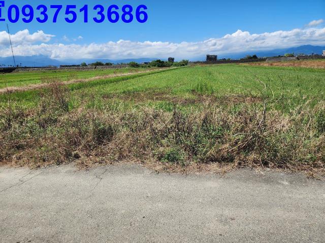 宜蘭壯圍農地-1