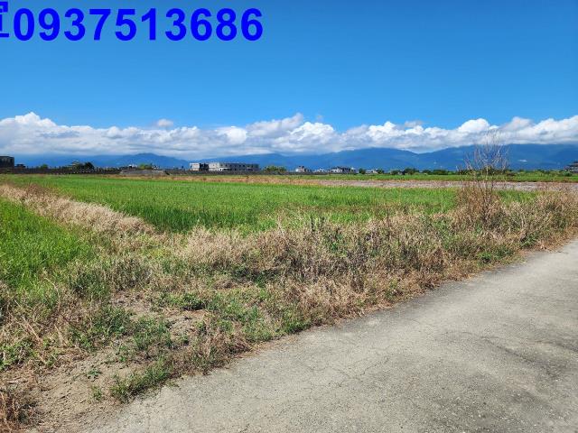 宜蘭壯圍農地-3