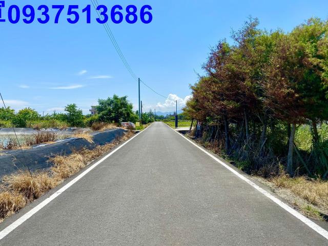 宜蘭壯圍農地-3