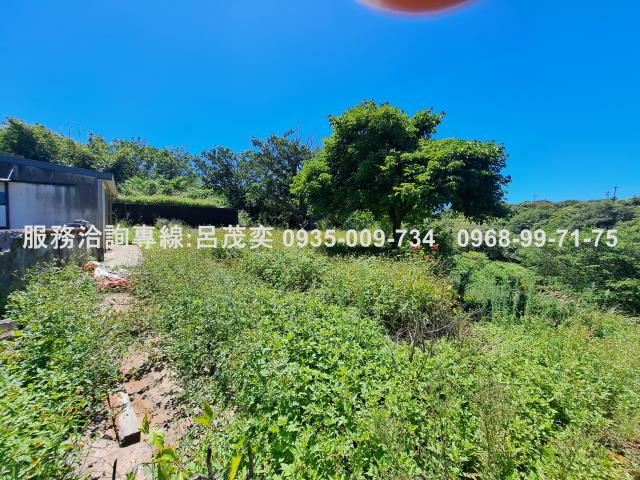 新北石門農地-6