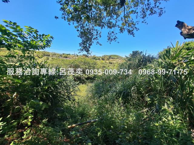 新北石門農地-7