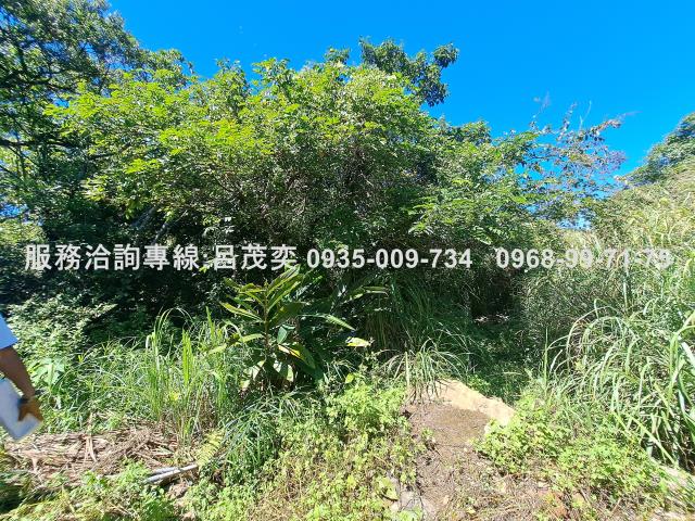 新北石門農地-8