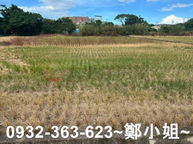 桃園蘆竹農地-6