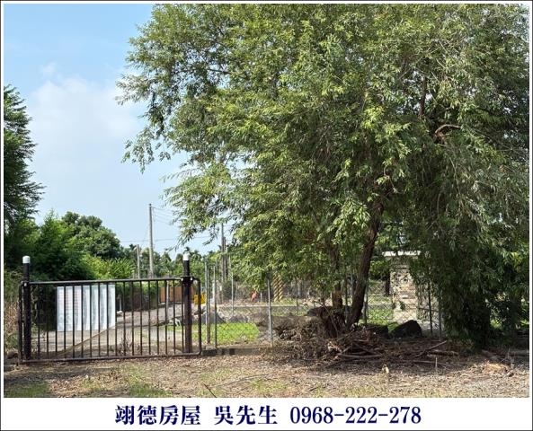 屏東高樹農地-15