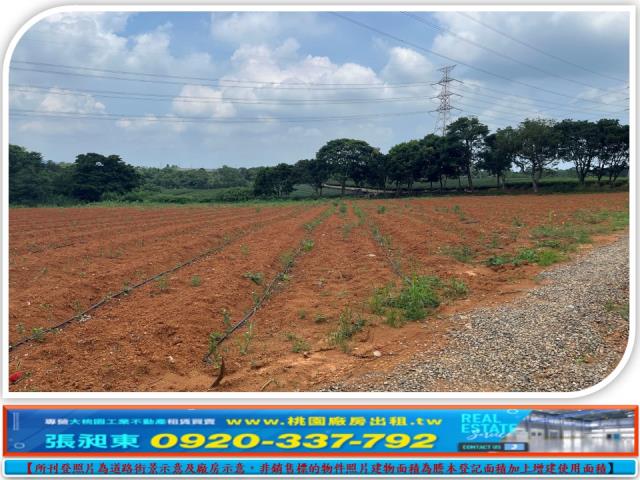 新竹關西農地-2