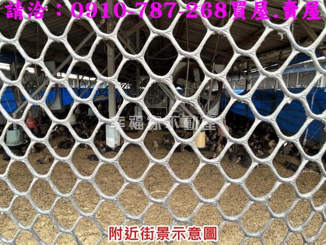 台南後壁農地-15