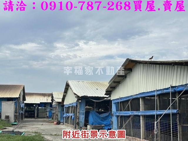 台南後壁農地-5