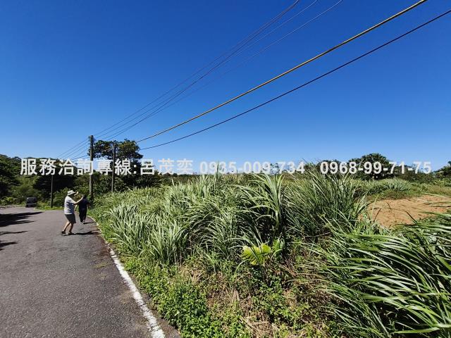 新北石門農地-12