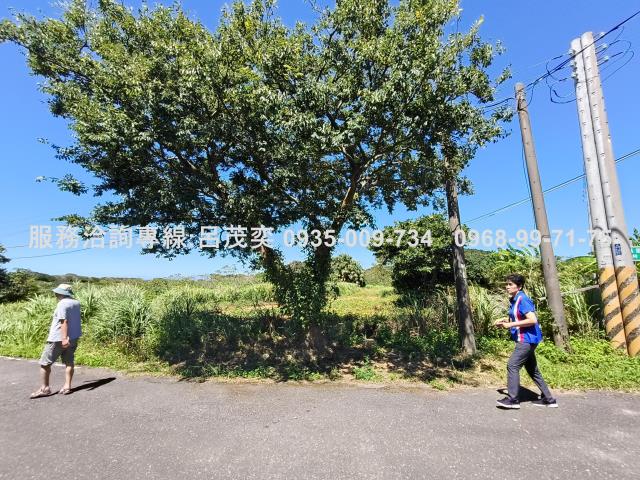 新北石門農地-13