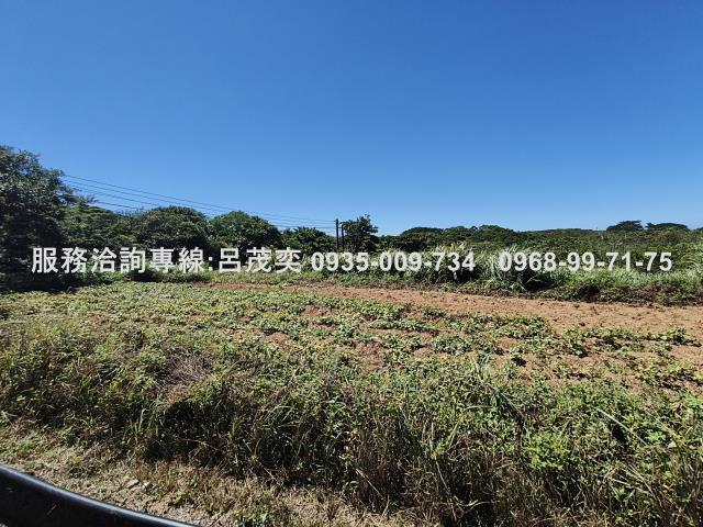 新北石門農地-2