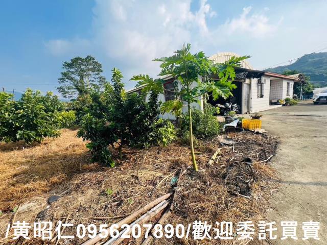 台南玉井農地-11