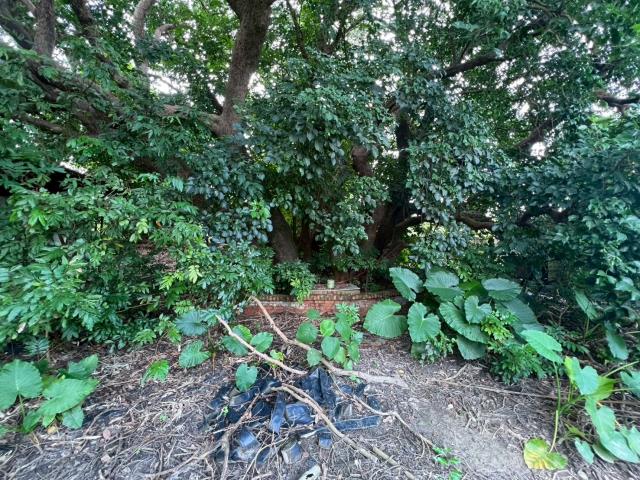 台南玉井農地-11