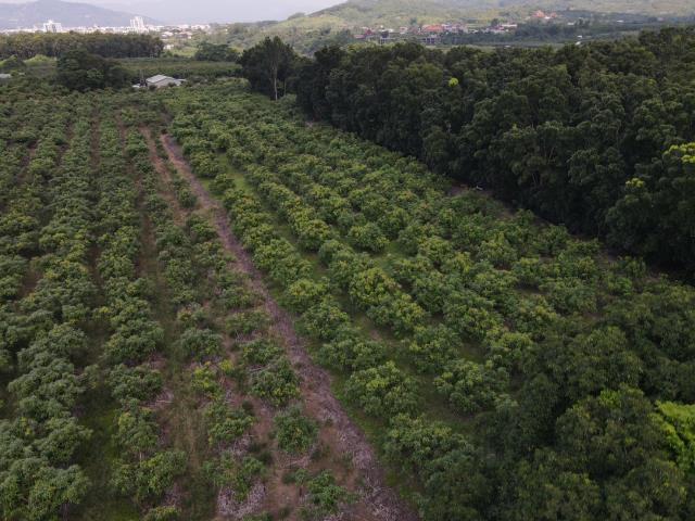 台南玉井農地-6