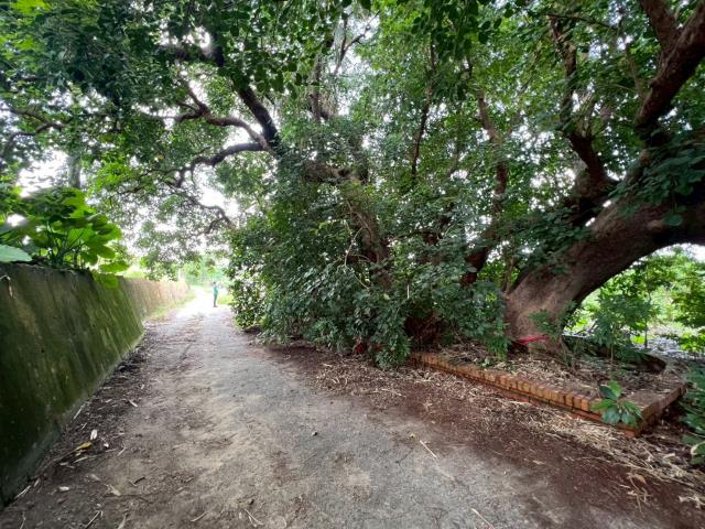 台南玉井農地-9