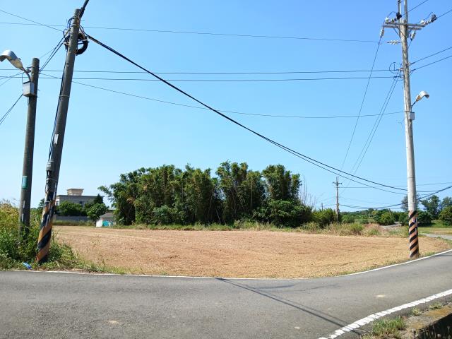 桃園大園農地-8