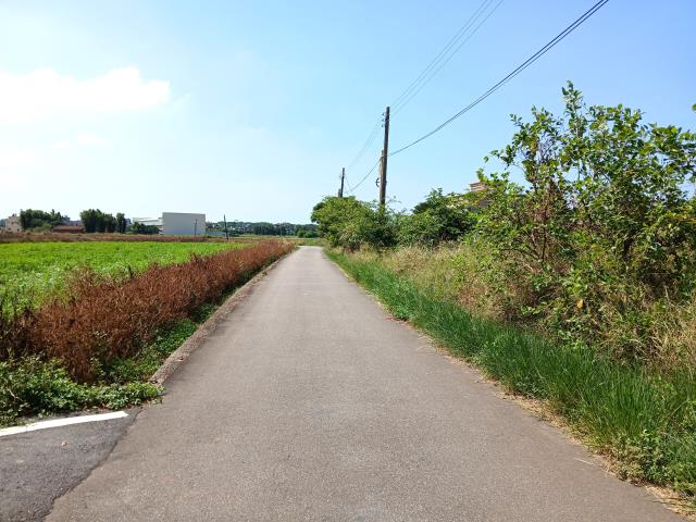 桃園大園農地-10