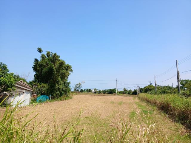 桃園大園農地-11