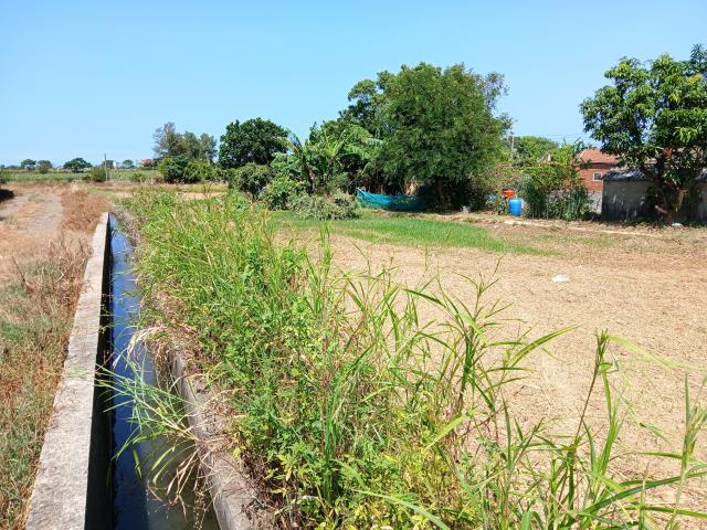 桃園大園農地-2