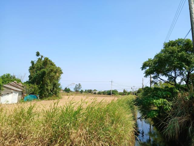 桃園大園農地-3