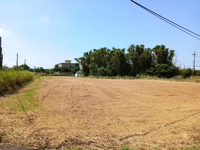 桃園大園農地-4