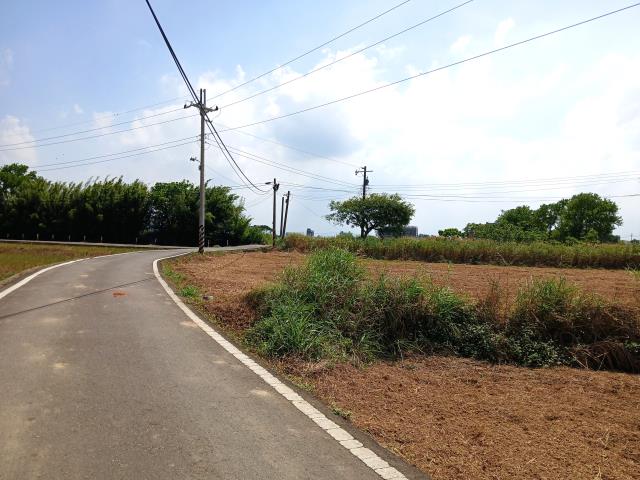 桃園大園農地-6