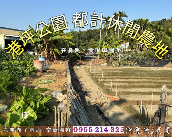 嘉義西區農地-1