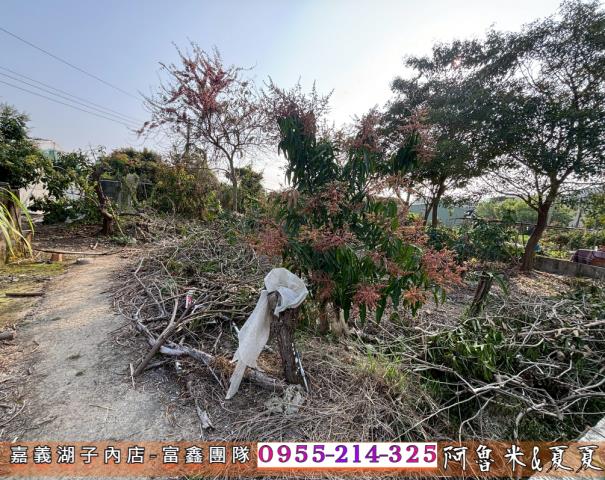 嘉義西區農地-3