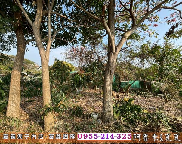 嘉義西區農地-4