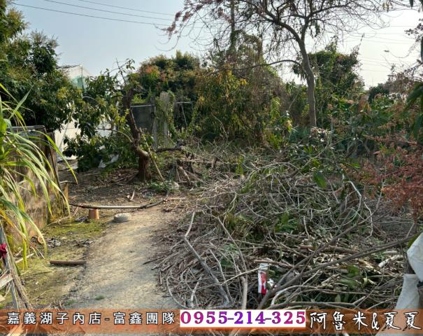 嘉義西區農地-5