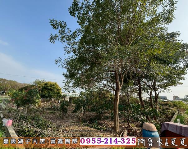 嘉義西區農地-7