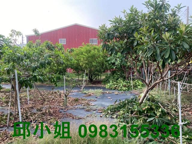 嘉義民雄農地-1