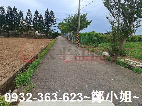 桃園新屋農地-5