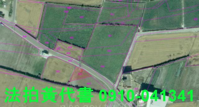 大安區農地法拍-12