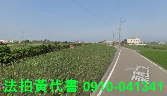 大安區農地法拍-1