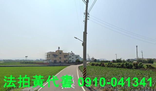 大安區農地法拍-2