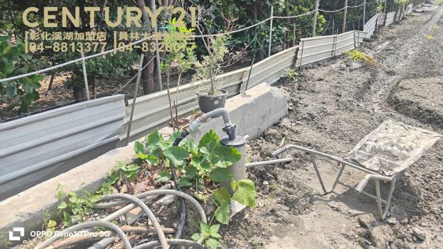 彰化田尾農地-5