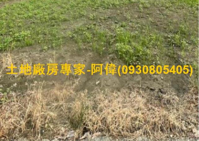 高雄大寮農地-1