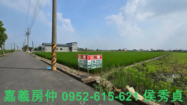 嘉義新港農地-2