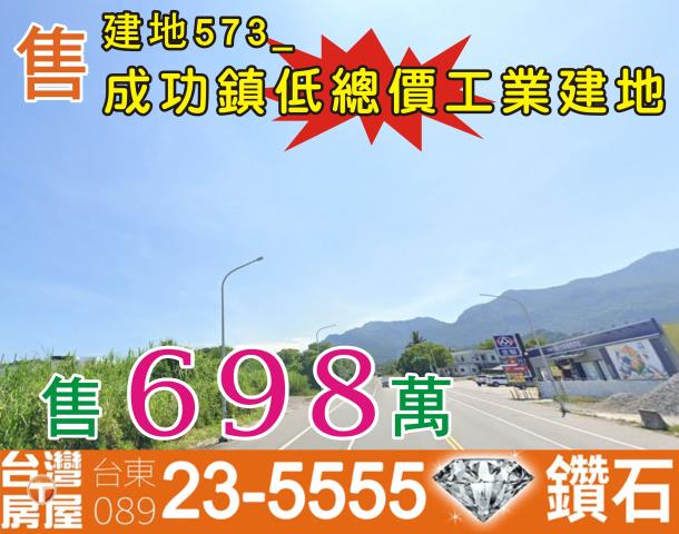 台東成功建地-7