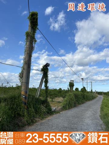 台東市農地-8