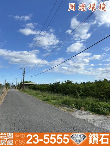 台東市農地-9