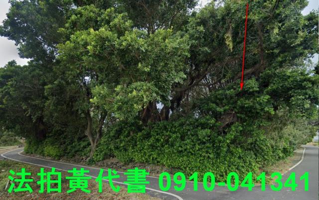 東石法拍建地-13