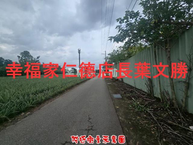 歸仁農地-6