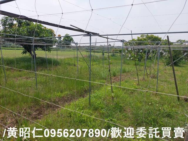 台南七股農地-11